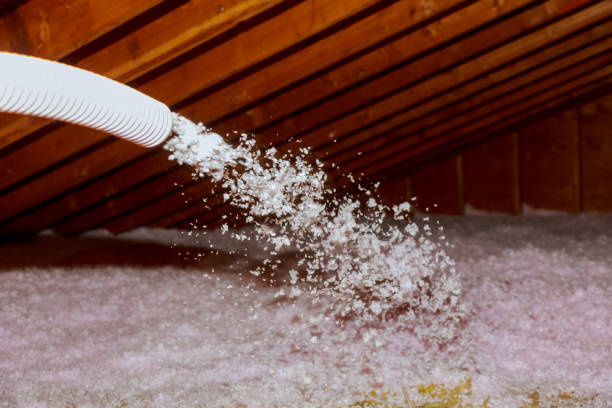 Best Garage Insulation Installation  in Forestbrook, SC