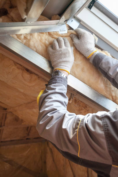 Best Attic Insulation Near Me  in Forestbrook, SC