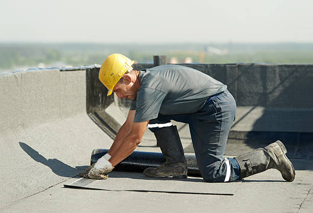 Best Residential Insulation Services  in Forestbrook, SC