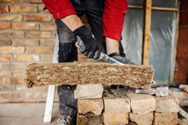 Best Blown-in Insulation  in Forestbrook, SC